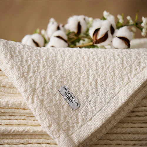 The Mary Blanket - Image 3